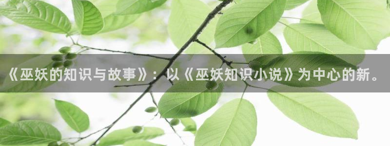 五月小说网：《巫妖的知识与故事》：以《巫妖知识小说》为中心的新。
