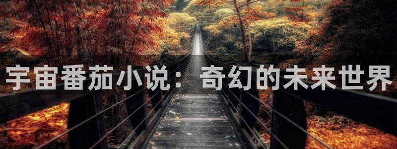 四月与五月小说：宇宙番茄小说：奇幻的未来世界